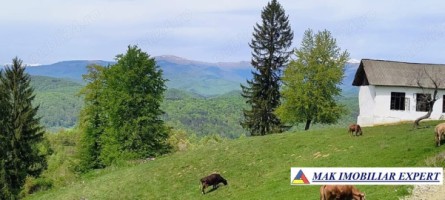 casa-2-camere-teren-1000-mp-in-otelu-berevoiesti-arges-4