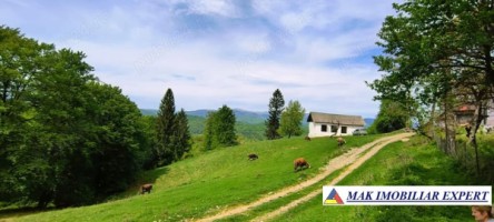 casa-2-camere-teren-1000-mp-in-otelu-berevoiesti-arges-3