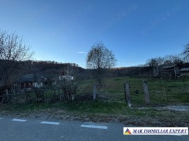 teren1600-mp-intravilan-in-v-bradului-mihaesti-arges-1