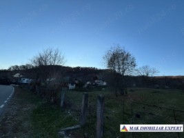 teren1600-mp-intravilan-in-v-bradului-mihaesti-arges-2