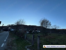 teren1600-mp-intravilan-in-v-bradului-mihaesti-arges-3