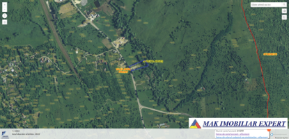 teren-4950-mp-intraextrav-la-fatanea-valea-mare-pravat-ag-3