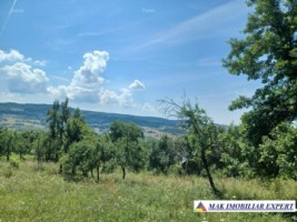 teren-241-ha-intra-extravilan-in-draghici-mihaesti-arges