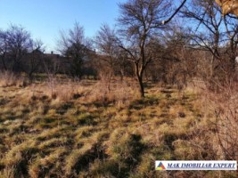 teren-1827-mp-intravilan-in-visoi-campulung-muscel-arges-7