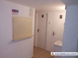 vand-vila-5-camere-teren-1400-mp-in-stalpeni-arges-8