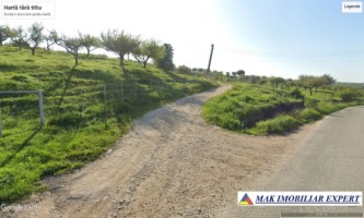 vand-teren-193-ha-extravilan-in-suslanesti-mioarele-arges