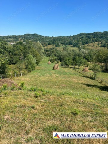 teren-6354-mp-extrav-in-candesti-albestii-de-muscel-arges-2