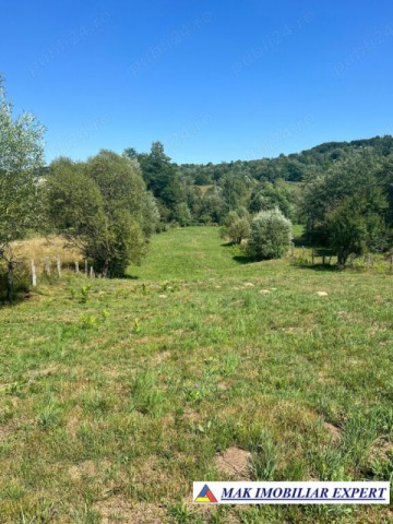 teren-6354-mp-extrav-in-candesti-albestii-de-muscel-arges-5