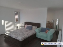 vila-8-camere-teren-1-ha-de-vanzare-in-musatesti-arges-5