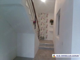 vila-8-camere-teren-1-ha-de-vanzare-in-musatesti-arges-7