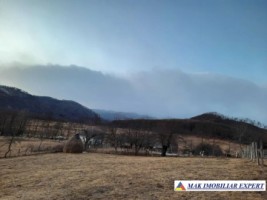 teren-intrav-3300-mp-casa-in-candesti-albestii-de-muscel-ag-4