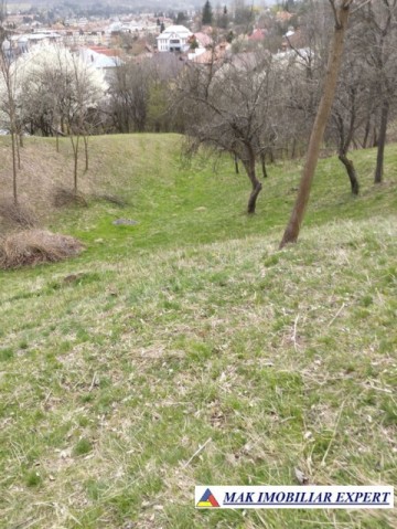 teren-5730-mp-intravilan-in-centru-campulung-arges-5