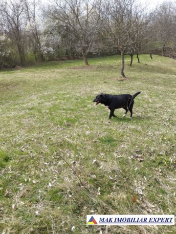 teren-5730-mp-intravilan-in-centru-campulung-arges-8