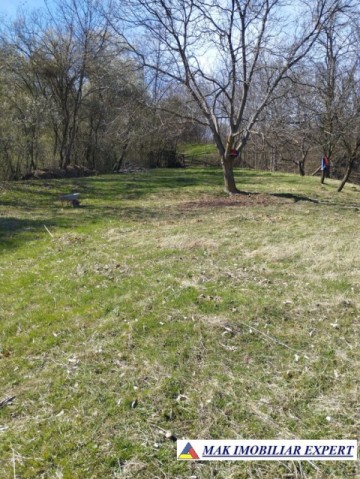 teren-5730-mp-intravilan-in-centru-campulung-arges-9