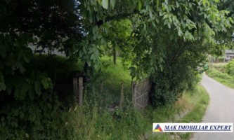 teren-intravilan-6000-mp-de-vanzare-in-berevoiesti-arges-3