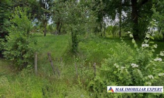 teren-intravilan-6000-mp-de-vanzare-in-berevoiesti-arges