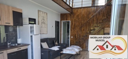 vanzare-vila-deosebita-intr-o-zona-pitoreasca-in-breaza-de-sus-la-pretul-de-125000-euro-negociabil-4