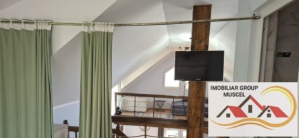 vanzare-vila-deosebita-intr-o-zona-pitoreasca-in-breaza-de-sus-la-pretul-de-125000-euro-negociabil-18