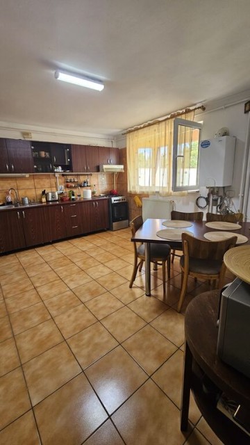 mitica-apostol-casa-pm-2004-ter-496mp-d-20ml-la-159000-eu-11