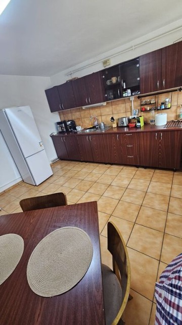 mitica-apostol-casa-pm-2004-ter-496mp-d-20ml-la-159000-eu-14