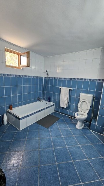 mitica-apostol-casa-pm-2004-ter-496mp-d-20ml-la-159000-eu-18