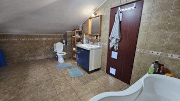 mitica-apostol-casa-pm-2004-ter-496mp-d-20ml-la-159000-eu-32