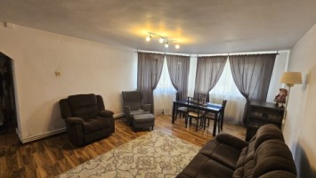 mitica-apostol-casa-pm-2004-ter-496mp-d-20ml-159000-eu-5