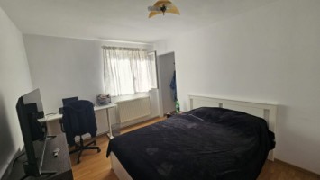 mitica-apostol-casa-pm-2004-ter-496mp-d-20ml-159000-eu-7