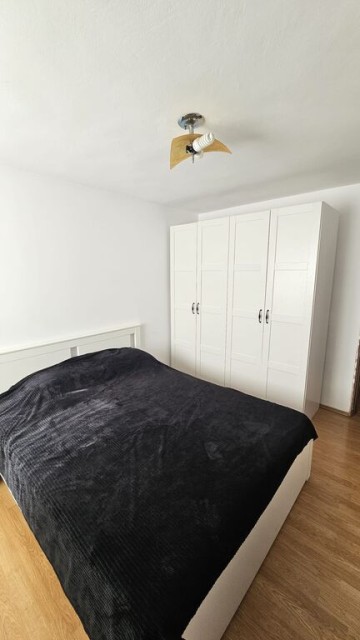 mitica-apostol-casa-pm-2004-ter-496mp-d-20ml-159000-eu-8