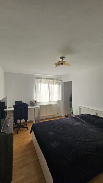 mitica-apostol-casa-pm-2004-ter-496mp-d-20ml-159000-eu-9