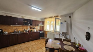 mitica-apostol-casa-pm-2004-ter-496mp-d-20ml-159000-eu-10