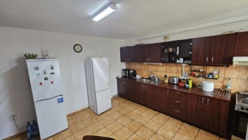 mitica-apostol-casa-pm-2004-ter-496mp-d-20ml-159000-eu-12