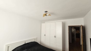 mitica-apostol-casa-pm-2004-ter-496mp-d-20ml-159000-eu-13