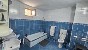 mitica-apostol-casa-pm-2004-ter-496mp-d-20ml-159000-eu-20