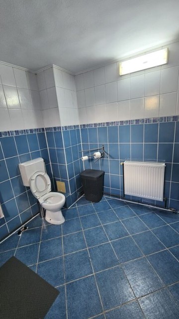 mitica-apostol-casa-pm-2004-ter-496mp-d-20ml-159000-eu-21