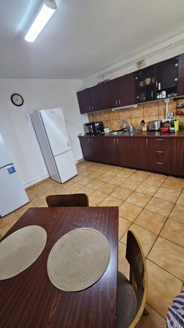 mitica-apostol-casa-pm-2004-ter-496mp-d-20ml-159000-eu-22