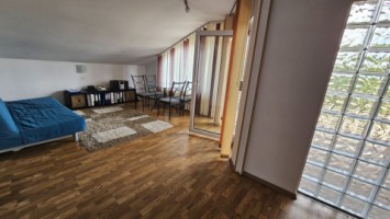 mitica-apostol-casa-pm-2004-ter-496mp-d-20ml-159000-eu-25