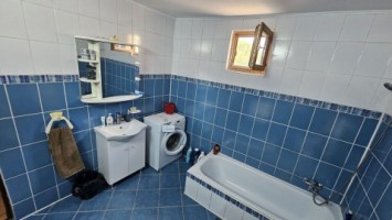 mitica-apostol-casa-pm-2004-ter-496mp-d-20ml-159000-eu-28