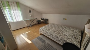 mitica-apostol-casa-pm-2004-ter-496mp-d-20ml-159000-eu-35