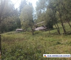 teren-2600-mp-intravilan-in-dambovicioara-arges-3