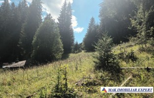 teren-2600-mp-intravilan-in-dambovicioara-arges-7