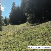 teren-2600-mp-intravilan-in-dambovicioara-arges-5