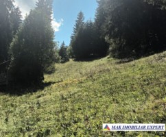 teren-2600-mp-intravilan-in-dambovicioara-arges-6