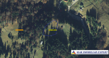 teren-2600-mp-intravilan-in-dambovicioara-arges-11