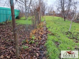 casa-de-vanzare-in-ciugud-7