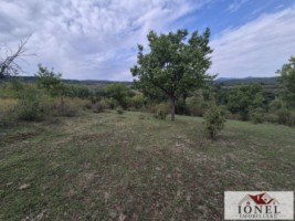 casa-de-vanzare-cu-47880-mp-teren-in-vintu-de-jos-mereteu-15