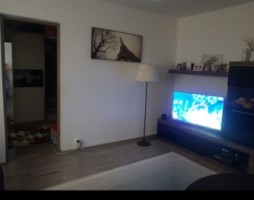 malu-rosu-simache-2cam-cf2-34-renovat-55900-euro-4