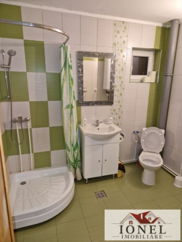 casa-de-de-vanzare-in-pianu-strungari-6