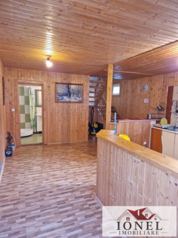 casa-de-de-vanzare-in-pianu-strungari-7