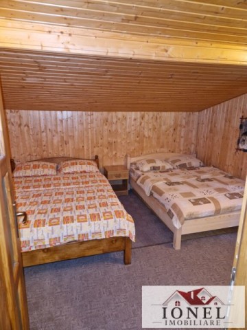 casa-de-de-vanzare-in-pianu-strungari-4